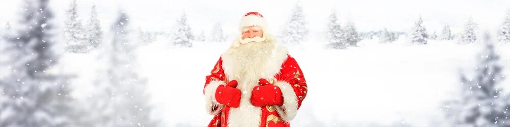 С Новым годом и Рождеством! С Новым годом и Рождеством!